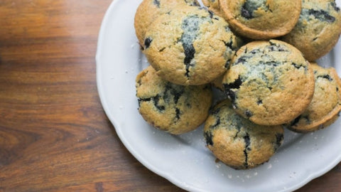 Blueberry Muffin